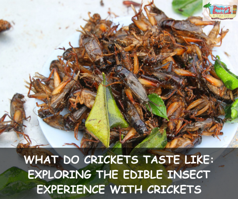 What Do Crickets Taste Like: Exploring the Edible Insect Experience with Crickets