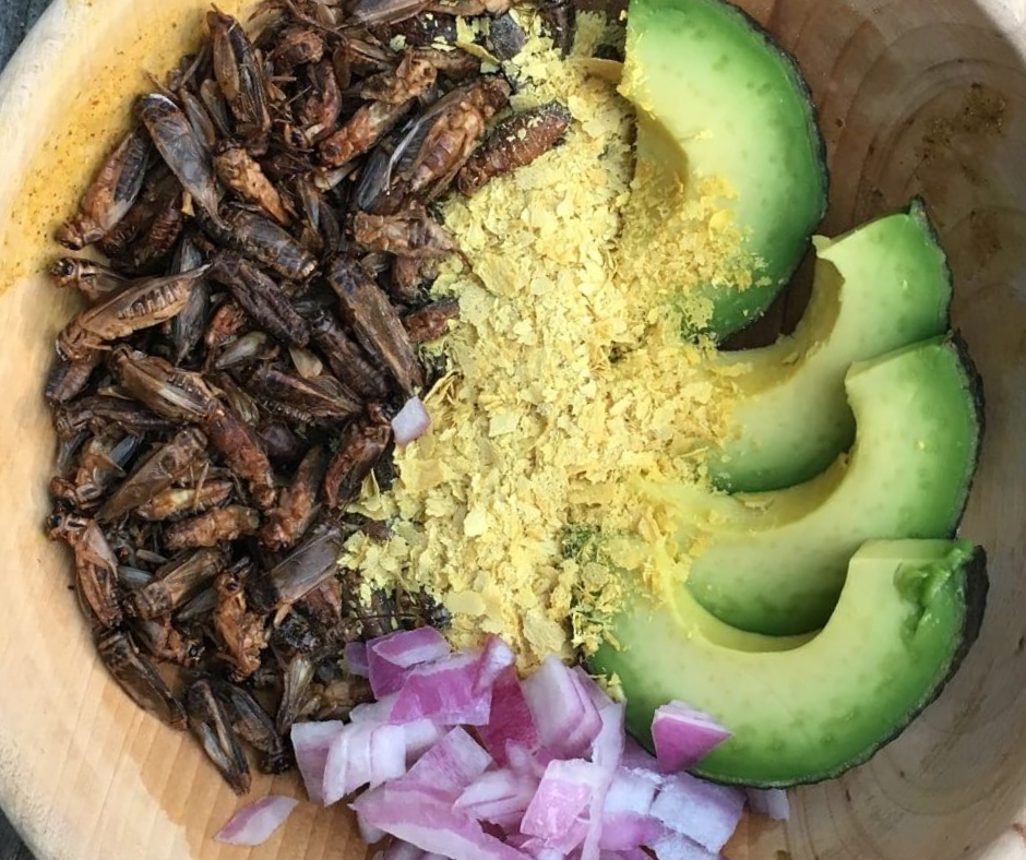 What Do Crickets Taste Like: Exploring the Edible Insect Experience with Crickets